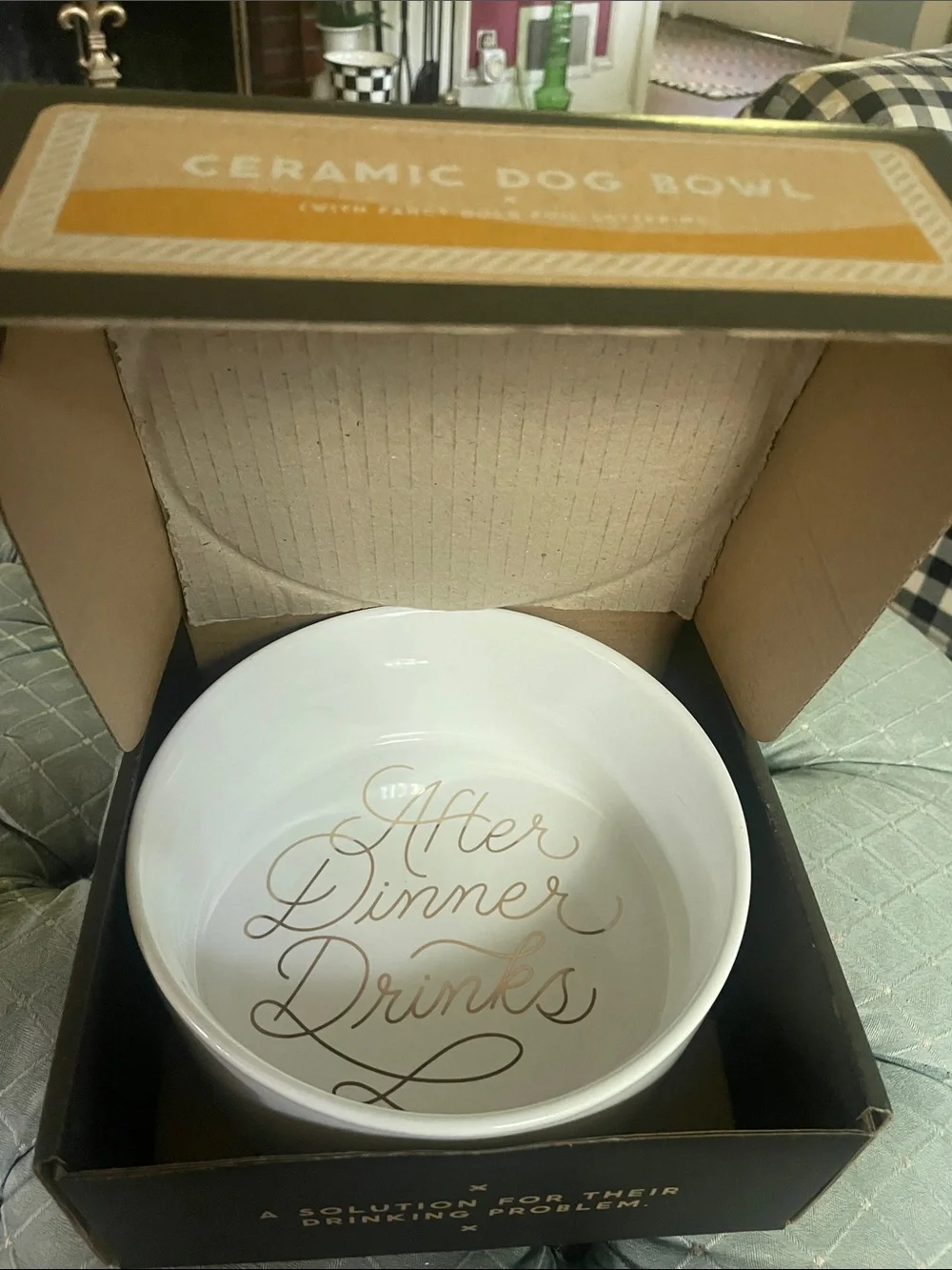 After Dinner Drinks White Ceramic Dog  Bowl with Gold Script